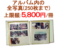 1冊250枚までのアルバム:上限額 5,800円/冊