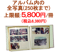 1冊250枚までのアルバム:上限額 5,800円(税込6,380円)/冊